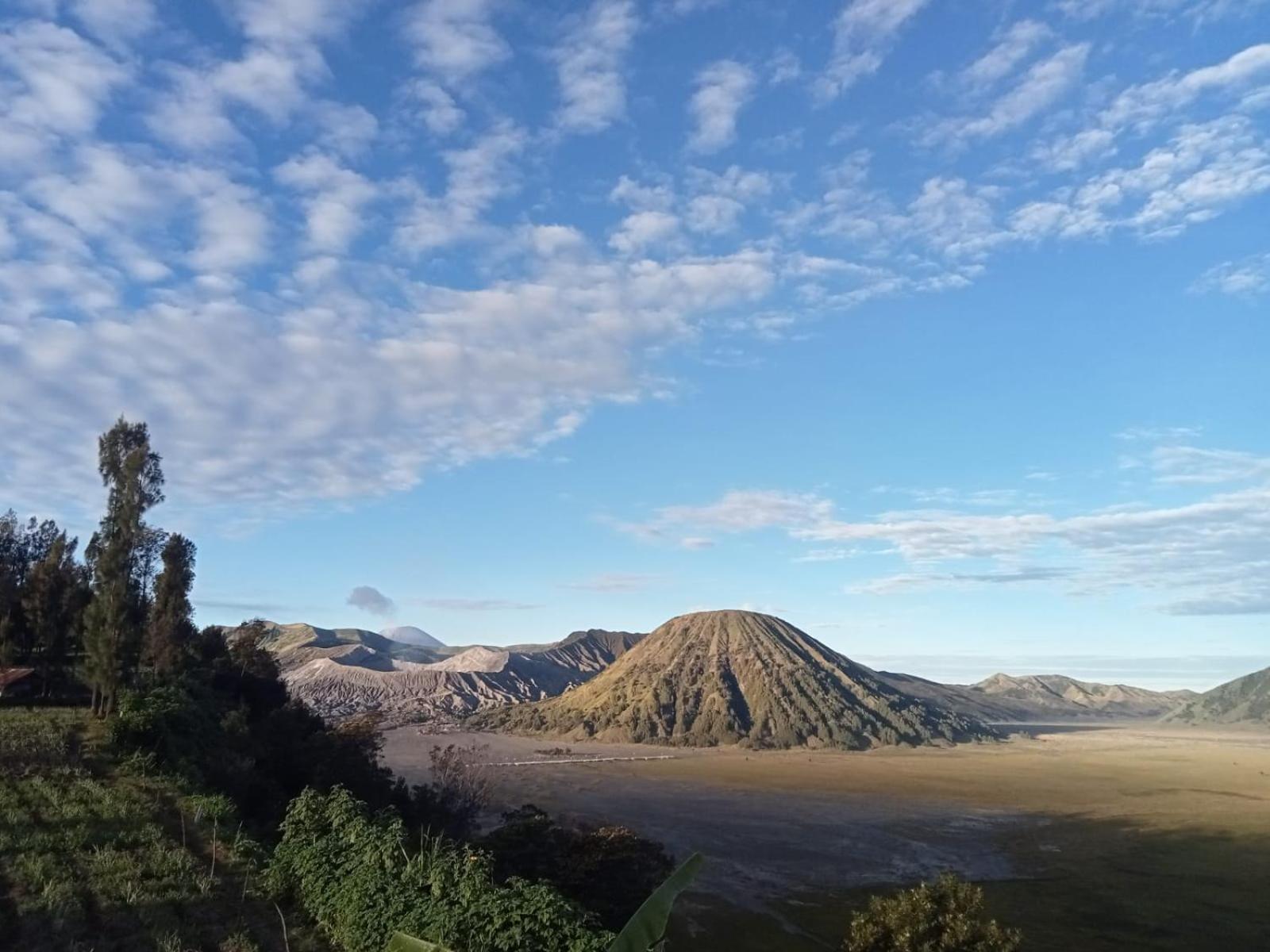 Tengger Indah Seruni Bromo プロボリンゴ エクステリア 写真