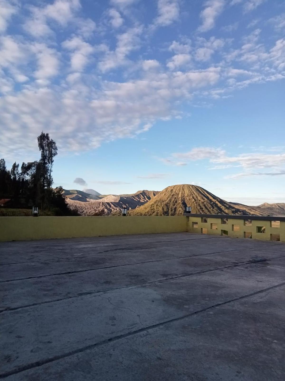 Tengger Indah Seruni Bromo プロボリンゴ エクステリア 写真